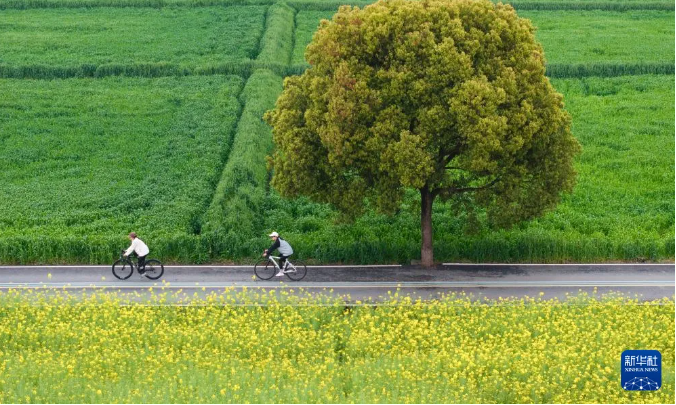 锚定“十五五”绿色发展航向 谱写陕西低碳转型新篇